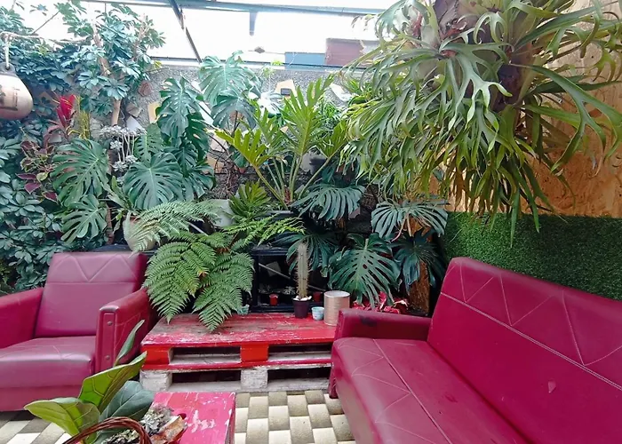 Kanela Guest House