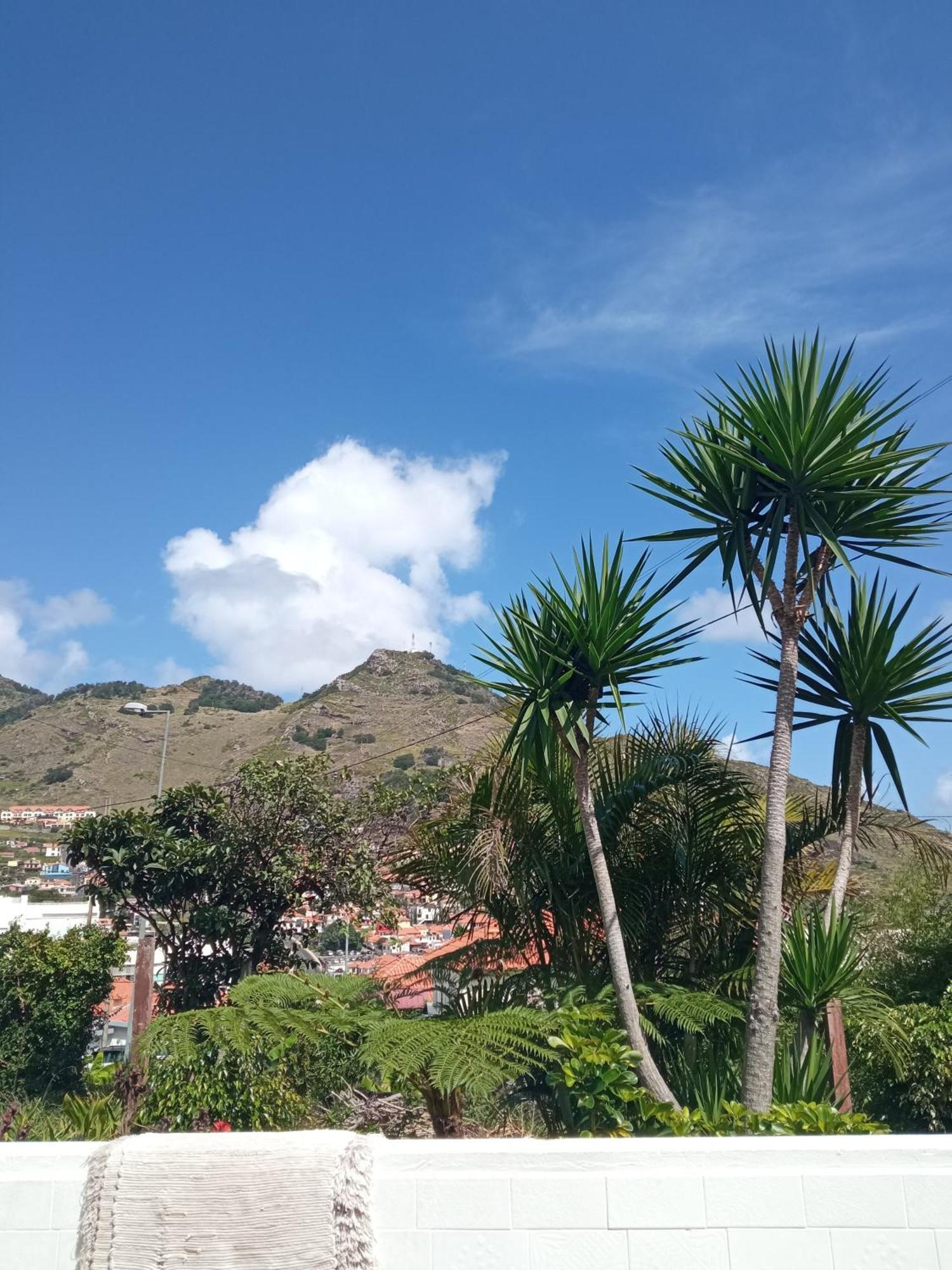 Kanela Machico (Madeira)